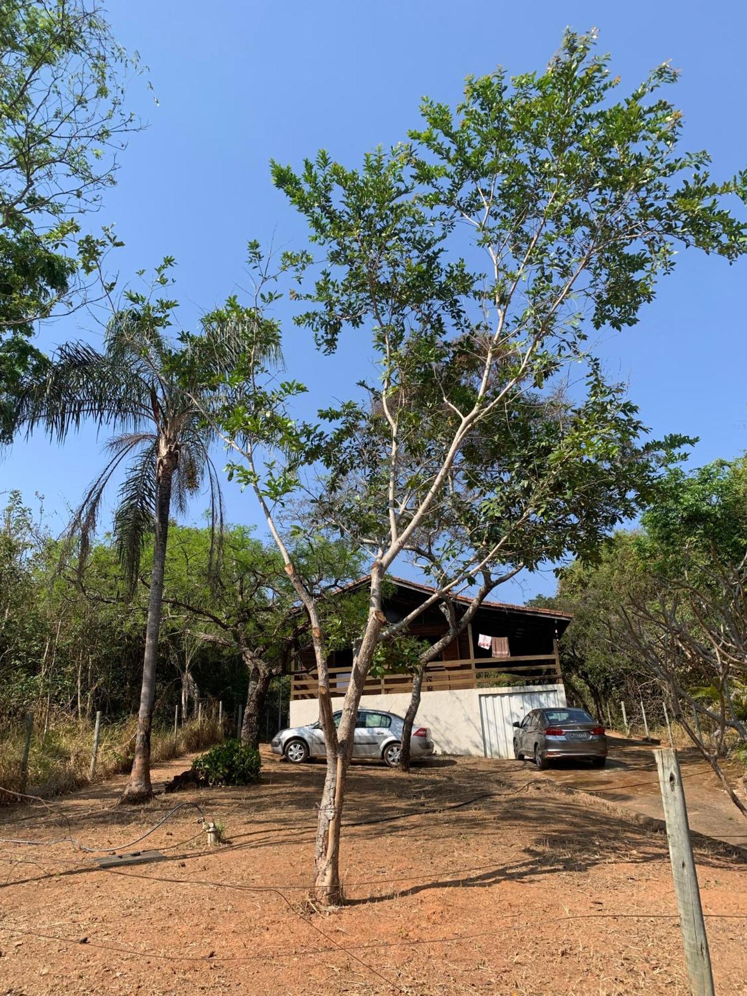 Casa Madeira Em Santo Hilario Pimenta (Minas Gerais) Exterior foto